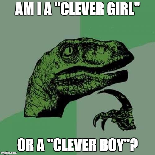 Clever Girl or Clever Boy Imgflip