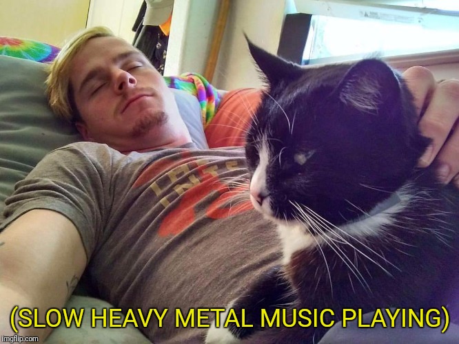 Slow heavy metal music playing cats Imgflip