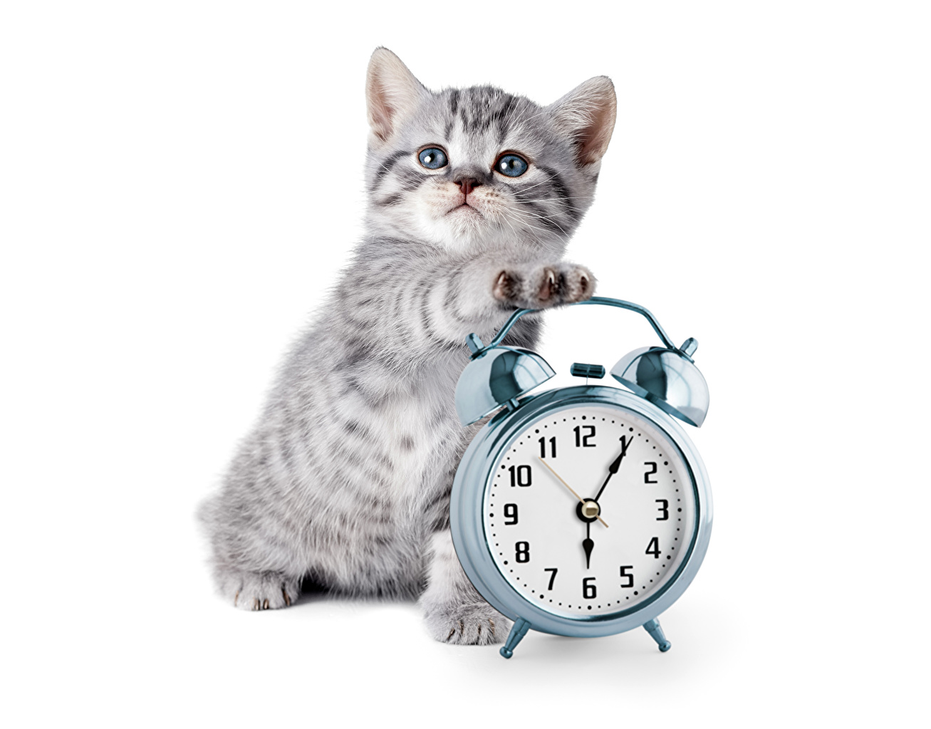 "clock" Meme Templates Imgflip