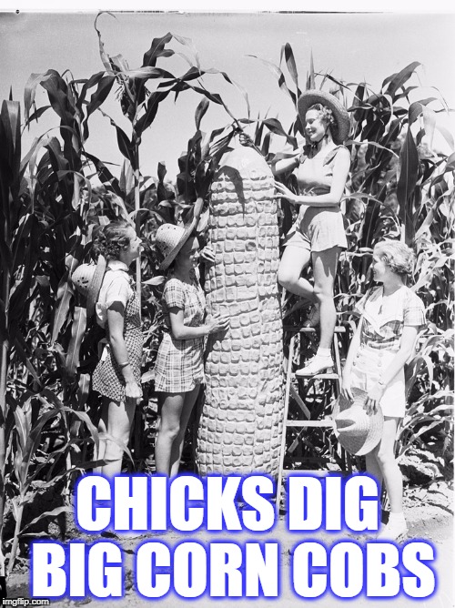 big corn cob Memes Imgflip