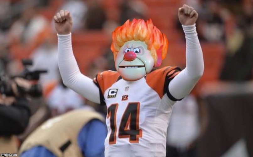 bengals Memes & GIFs Imgflip