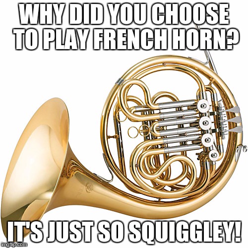 French Horn Choosing Imgflip