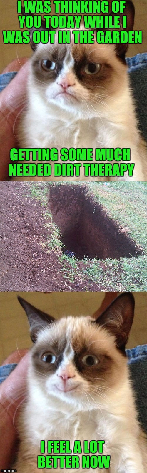 Gardening... It's Cheaper Than Therapy Imgflip