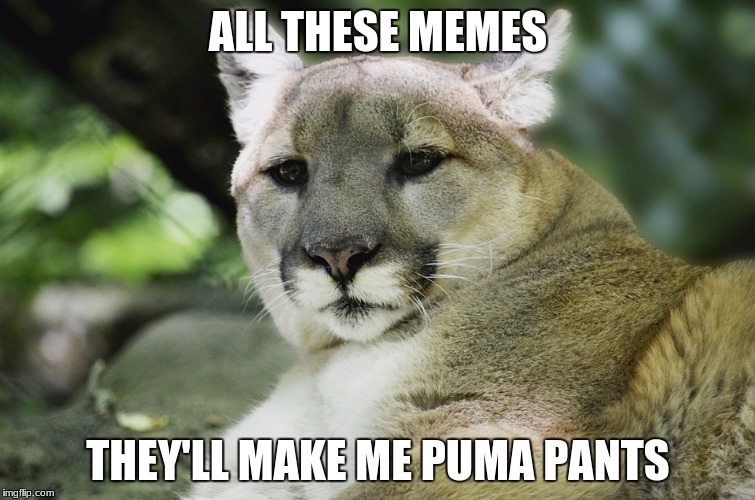 Puma Pants meme Imgflip