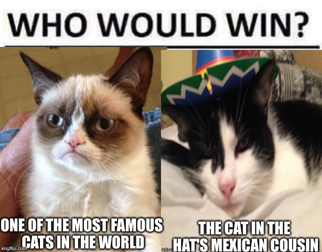 Who would win? Imgflip