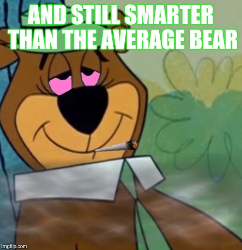 yogi bear weed Imgflip