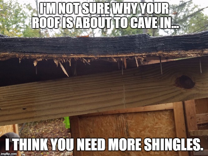 roof Memes & GIFs Imgflip