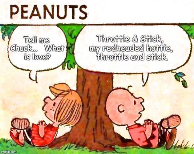 Peanuts Charlie Brown Peppermint Patty Imgflip