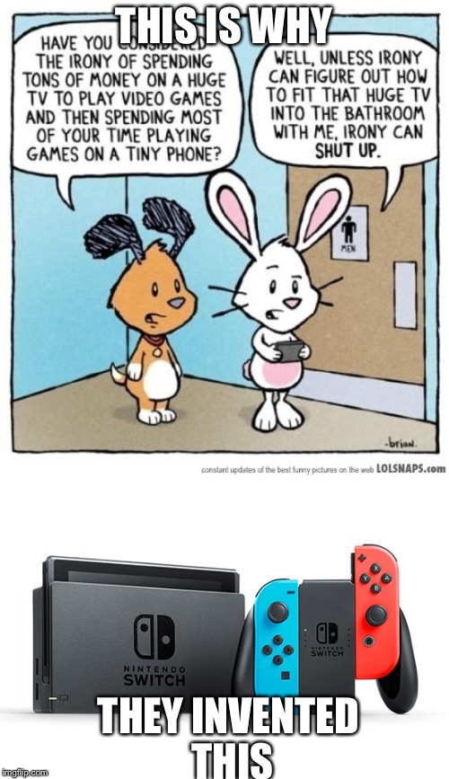 Image tagged in nintendo switch,irony Imgflip