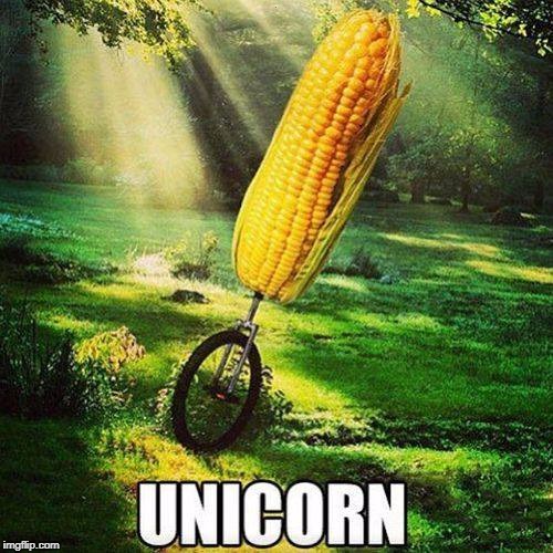Image tagged in unicorn Imgflip
