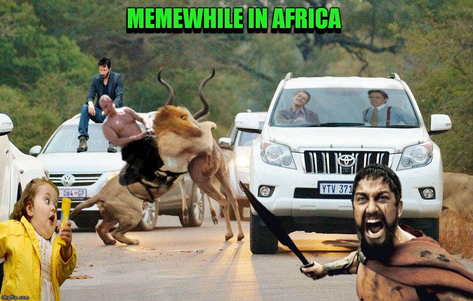 Go on safari they said... It's perfectly safe they said... Imgflip