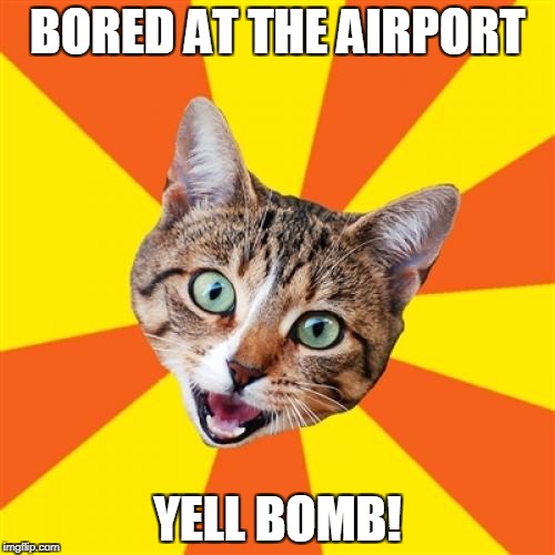 Bad Advice Cat Meme Imgflip