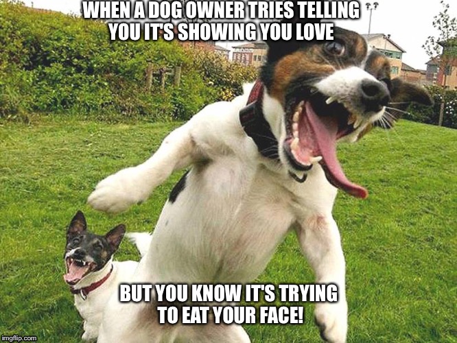Joke Telling Dog Meme