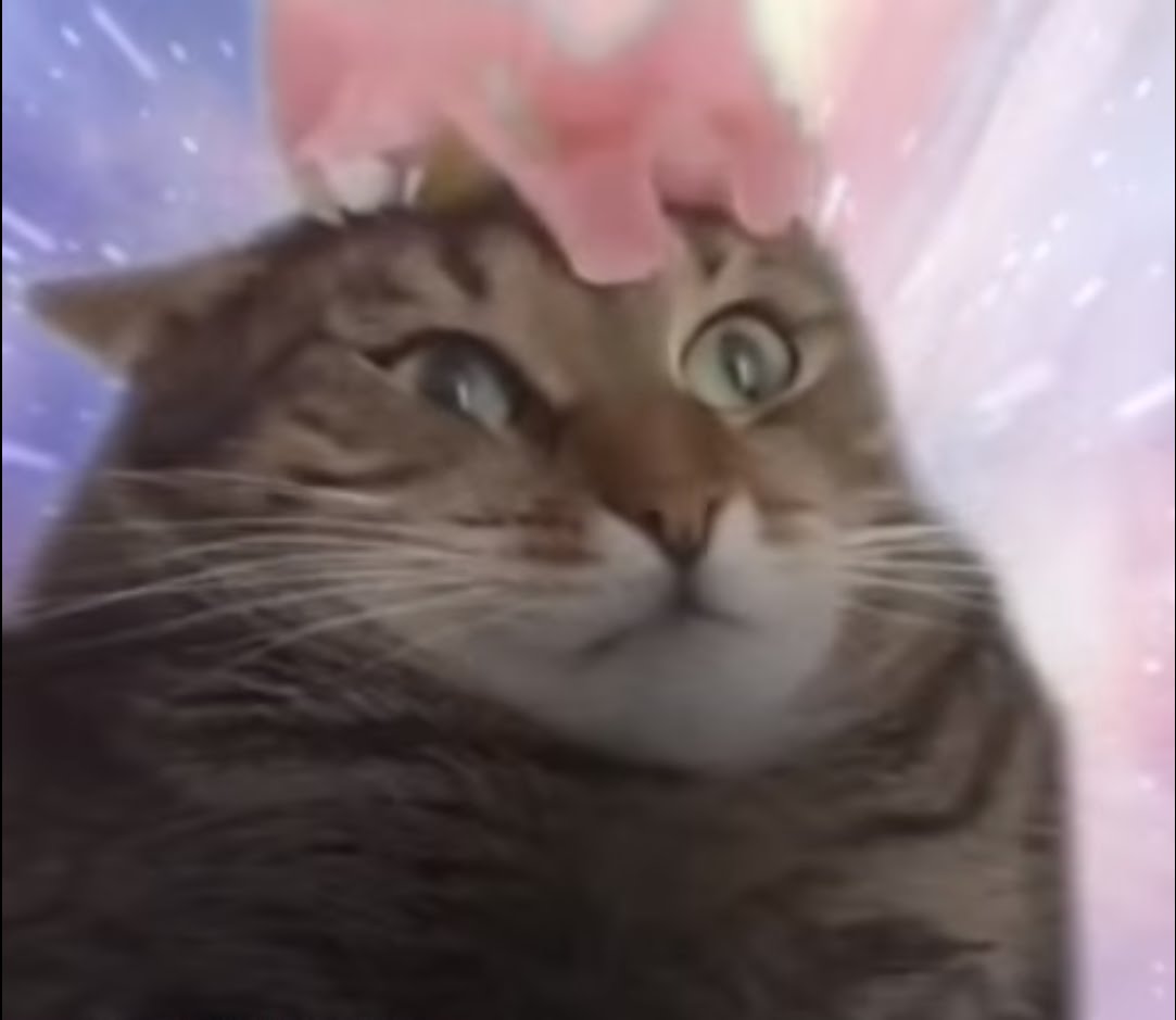 Cat Transcendence Blank Template Imgflip