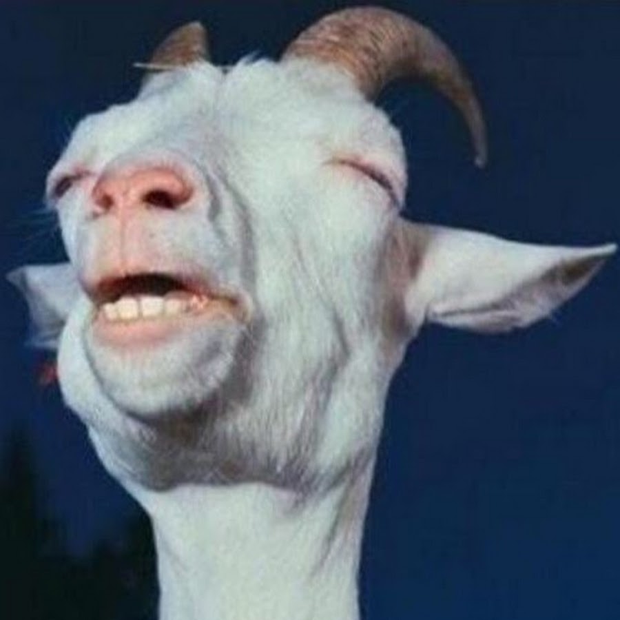 Meme Template Search Imgflip