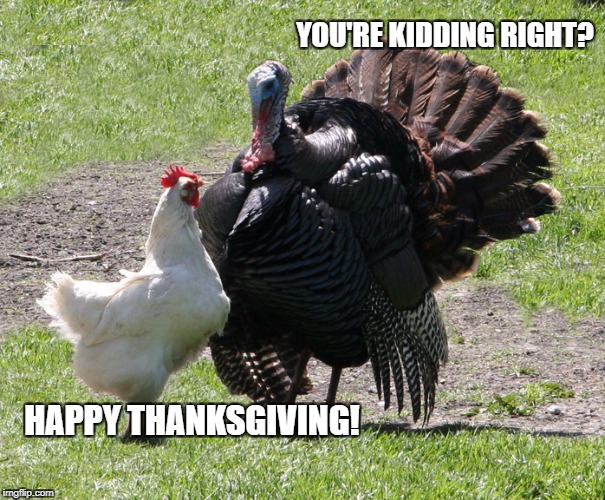 Sarcastic Thanksgiving Imgflip