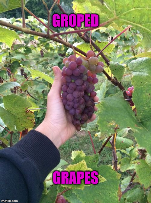 I Heard It Through The Grape Vine Imgflip