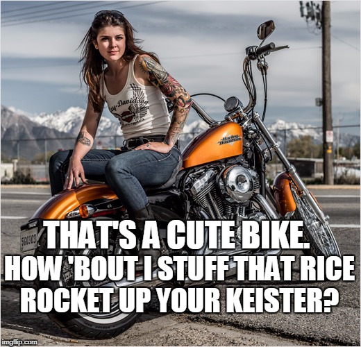 biker chick Imgflip