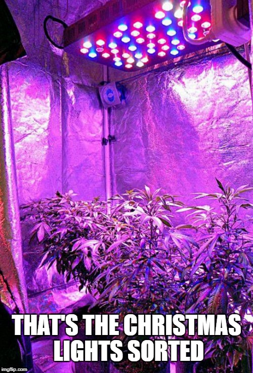 Christmas Lights Meme That's the Christmas Lights Sorted Imgflip