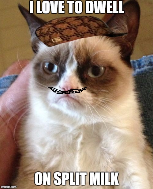 Grumpy Cat Meme Imgflip