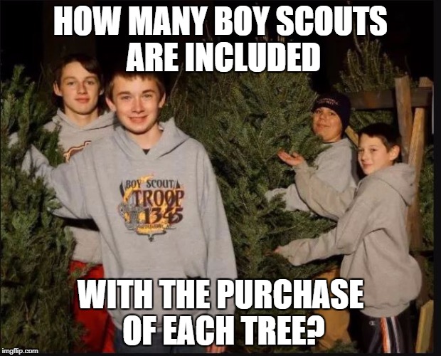 Boy Scout Christmas Tree Sales Imgflip