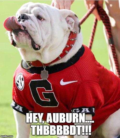 Uga X with the Raspberry Imgflip