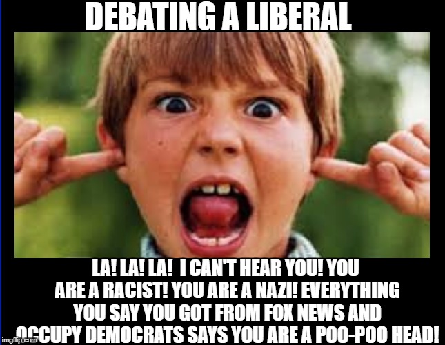 Image tagged in memes,liberal logic,democratic party,stupid liberals