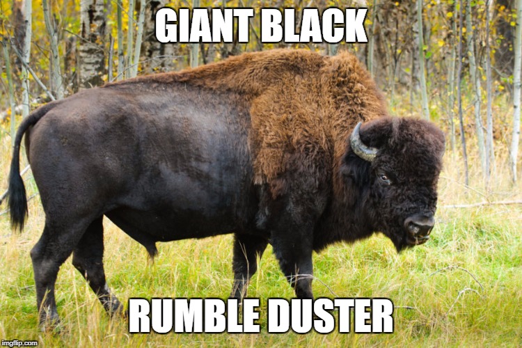 HORNY ANIMALS Imgflip