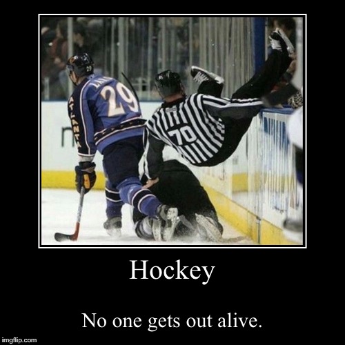 ice hockey Memes & GIFs Imgflip