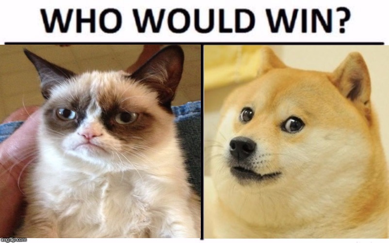 Who would win? Imgflip