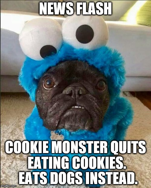 Cookie Monster Imgflip