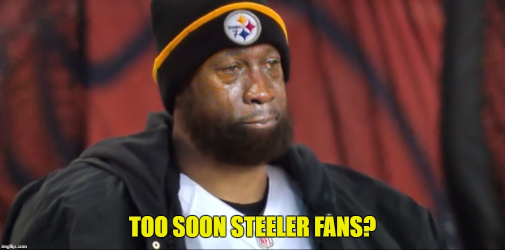 Steelers Fan Meme