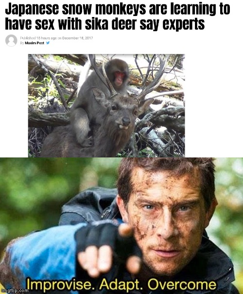 Improvise Adapt Meme Meme Pict