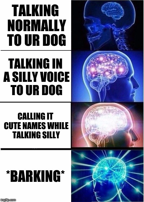 Expanding Brain Memes Imgflip