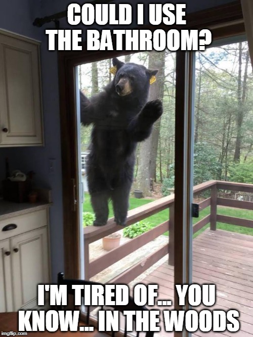 Answers that question Imgflip