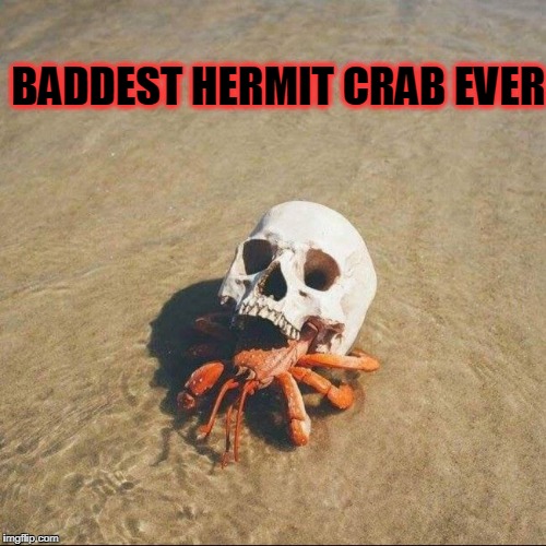 Image tagged in badass crab,badass Imgflip
