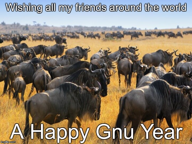 Image tagged in herd of wildebeests gnus in africa Imgflip