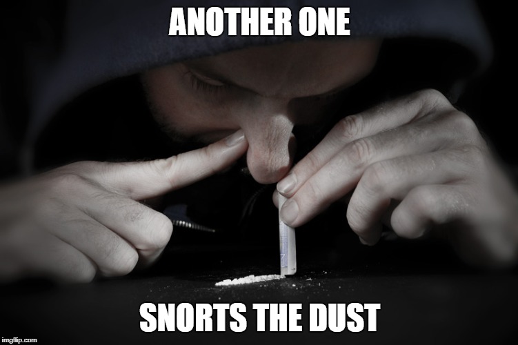 Another One Bites The Dust Cat Meme 10lilian
