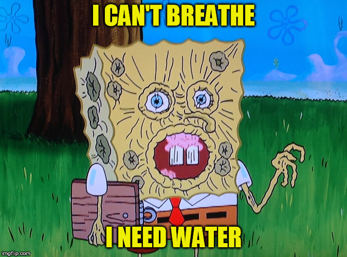 Image tagged in memes,meme,troll face,challenge accepted,i see what you