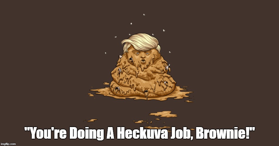 "You're Doing A Heckuva Job, Brownie!" Imgflip
