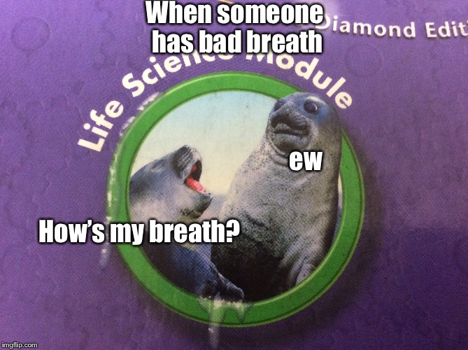 Bad Breath Seal Imgflip