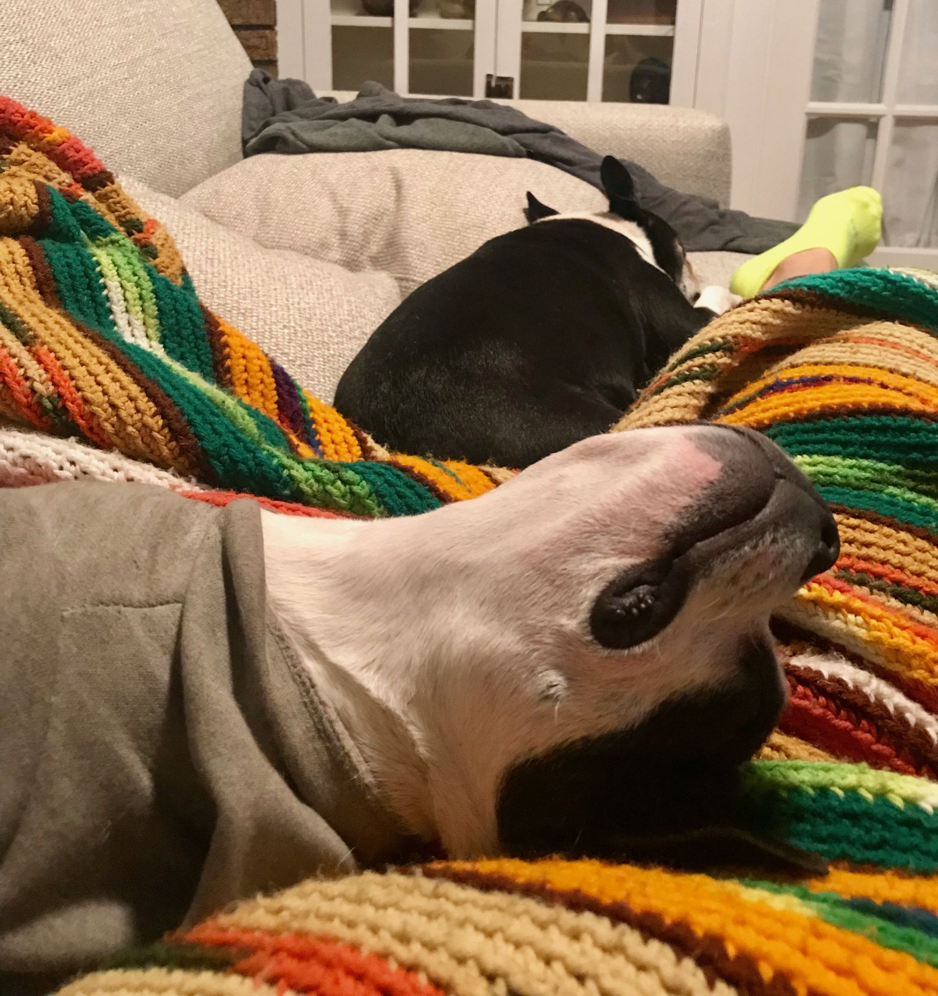 "relax" Meme Templates Imgflip