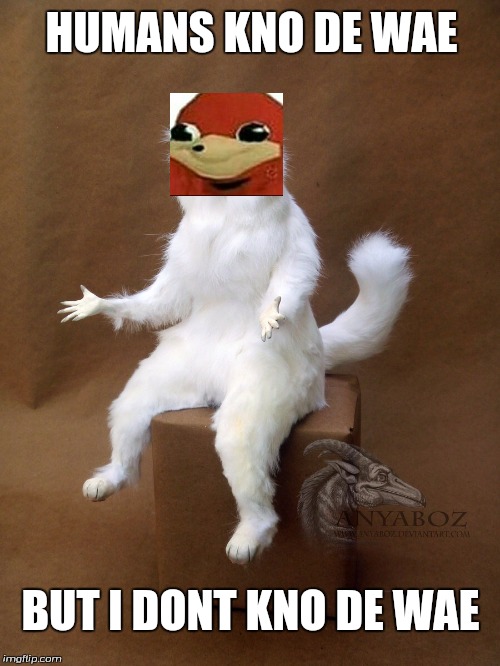Persian Cat Room Guardian Single Meme Imgflip