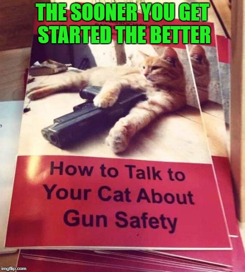 I don't know about you, but I feel much safer knowing this book is out