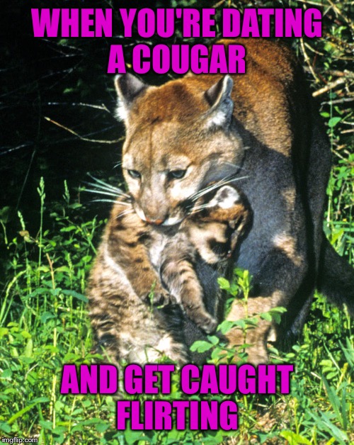 I see what you did there Imgflip