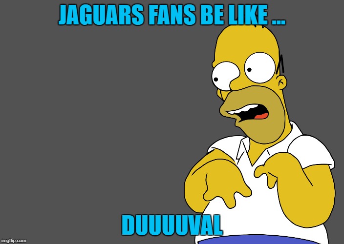 Image tagged in jacksonville jaguars,nfl memes Imgflip