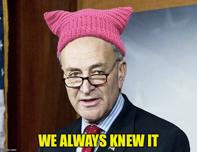 Image tagged in schumer pink pussy hat Imgflip