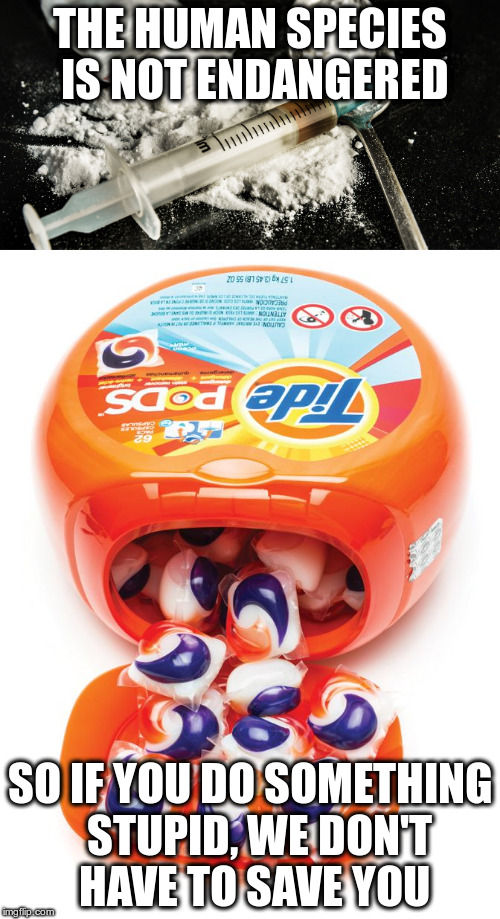 Can You Take Tide Pods On An Airplane Airplane Walls