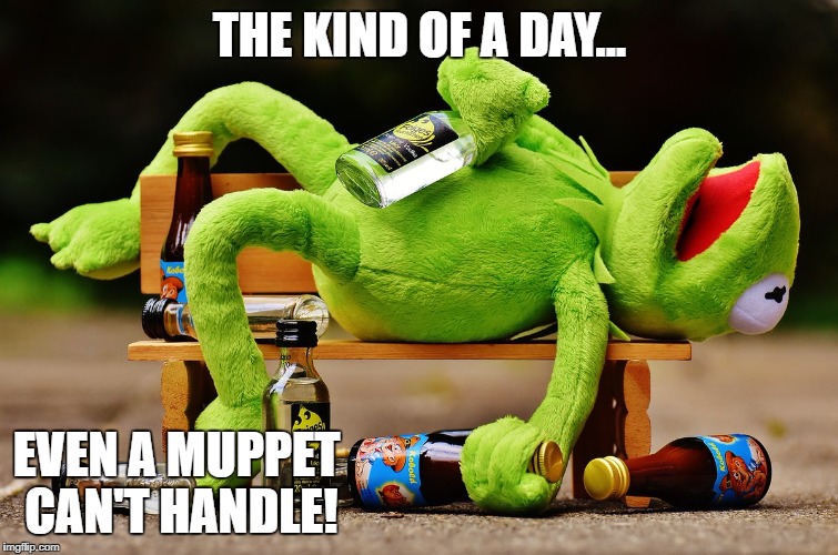 muppets Imgflip