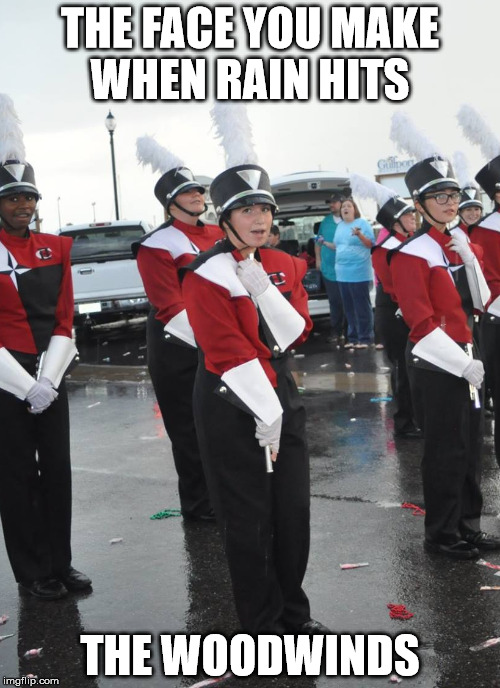 Image tagged in marching band,flute Imgflip